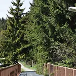 Apartament Dony *